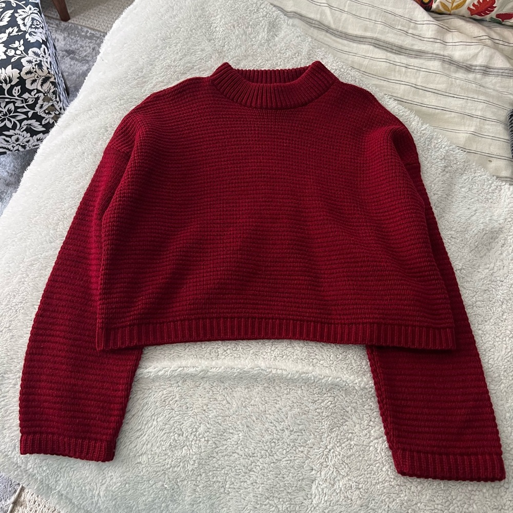 Express Medium Red Sweater